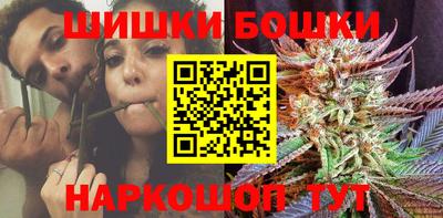 шишки Кингисепп