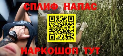 шишки Кингисепп