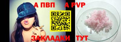 шишки Кингисепп