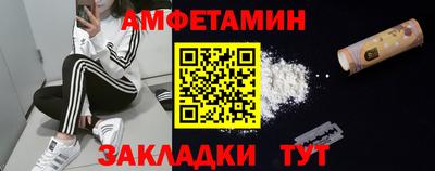 шишки Кингисепп