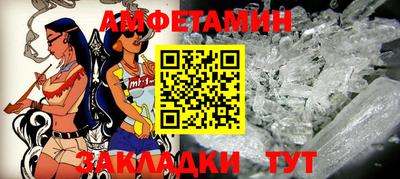 шишки Кингисепп