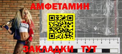 шишки Кингисепп