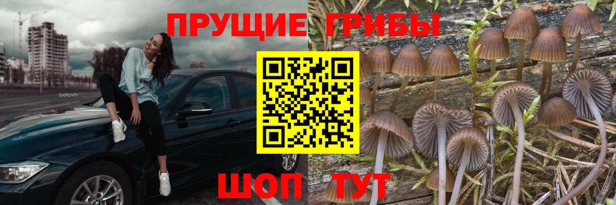 Краснокаменск  Галлюциногенные грибы прущие грибы  Галлюциногенные грибы GOLDEN TEACHER  Вход с VPN 