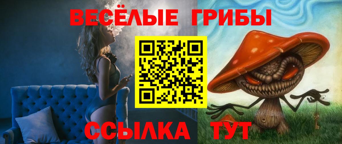 Псилоцибиновые грибы Psilocybe Краснокаменск
